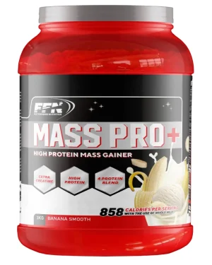 Fast Forward Nutrition Mass Gainer 3 KG (MassPro+)
