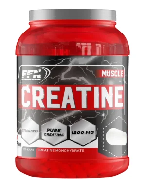 Fast Forward Nutrition Creatine Monohydrate 500 Caps