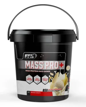 Fast Forward Nutrition Mass Gainer 6 KG (MassPro+)