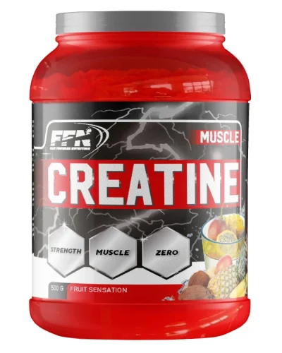 Fast Forward Nutrition Creatine Monohydrate Fruit Sensation 500 Gr