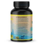 Fast Forward Nutrition Magnesium Natural Recources – 120 Caps
